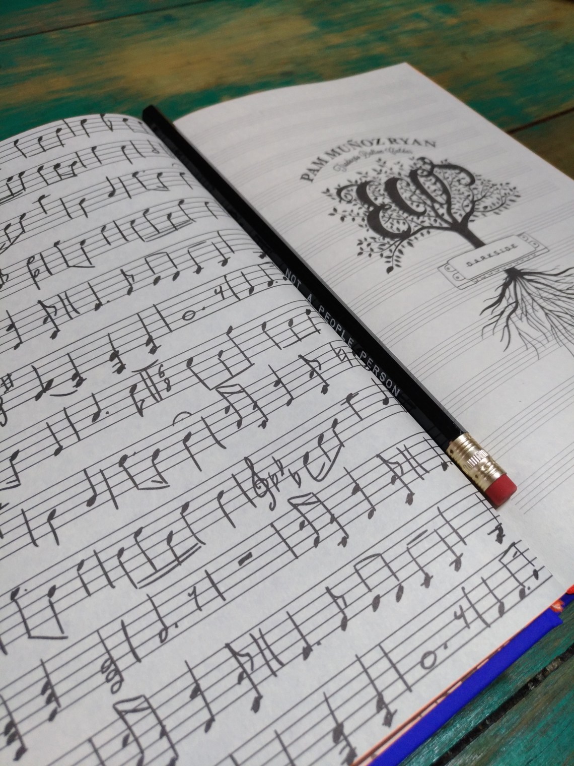 P_20171229_093408_vHDR_Auto