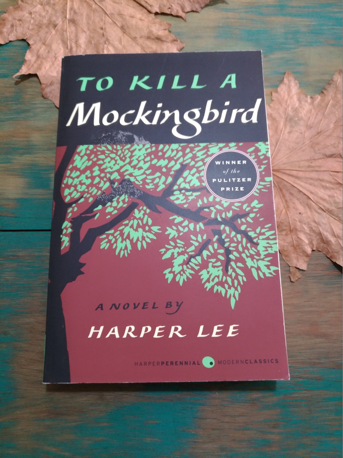 P_20180119_103805_vHDR_Auto