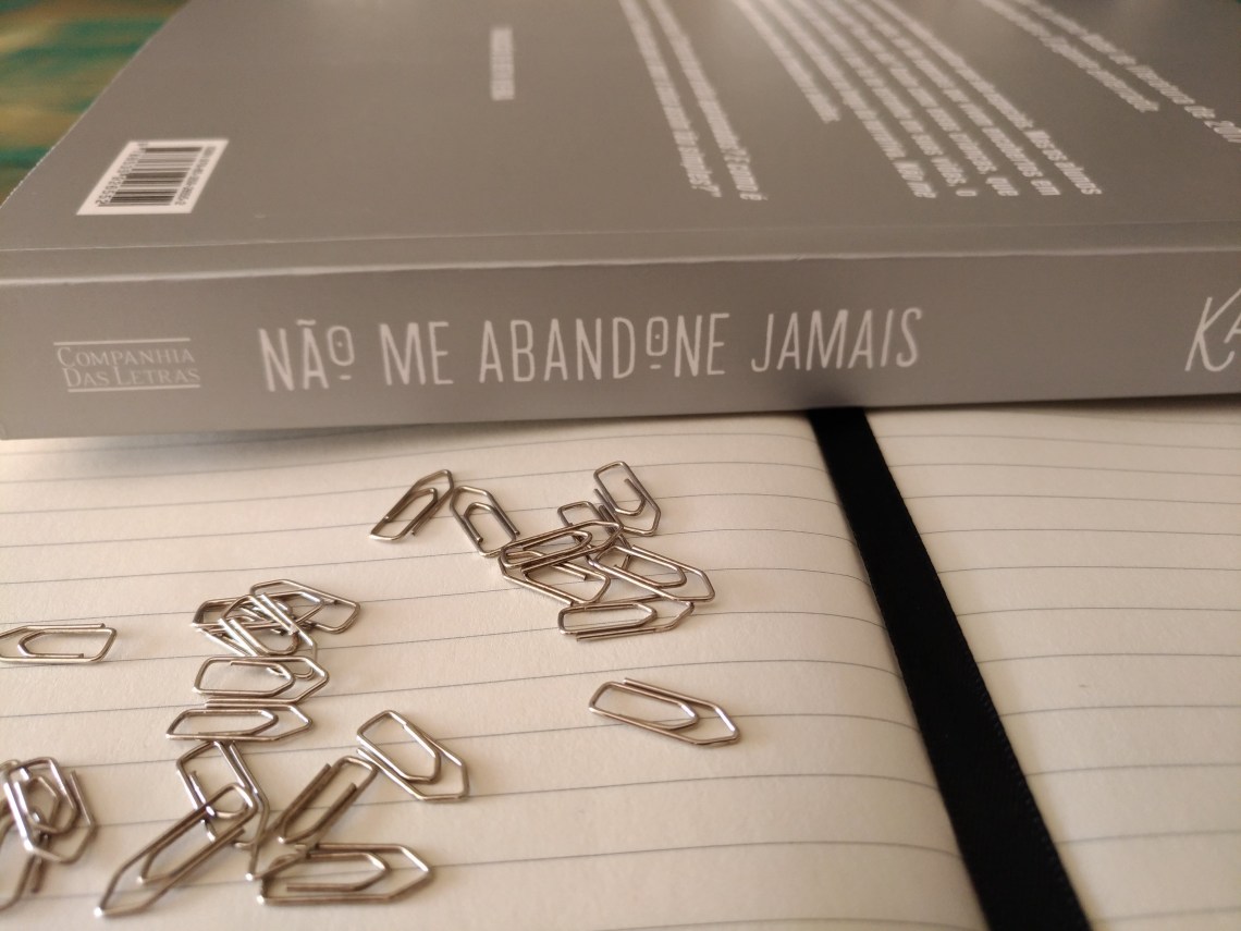 P_20180126_082201_vHDR_Auto