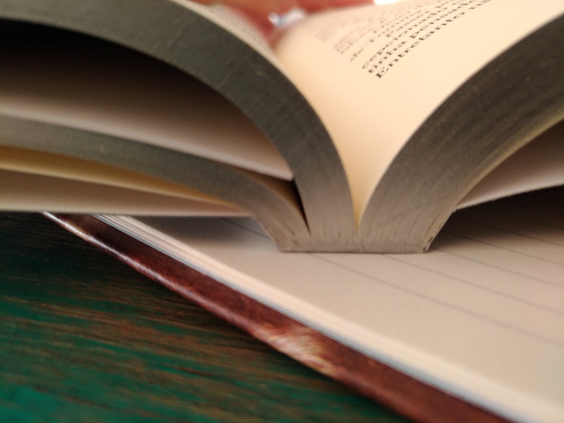 P_20180126_082307_vHDR_Auto