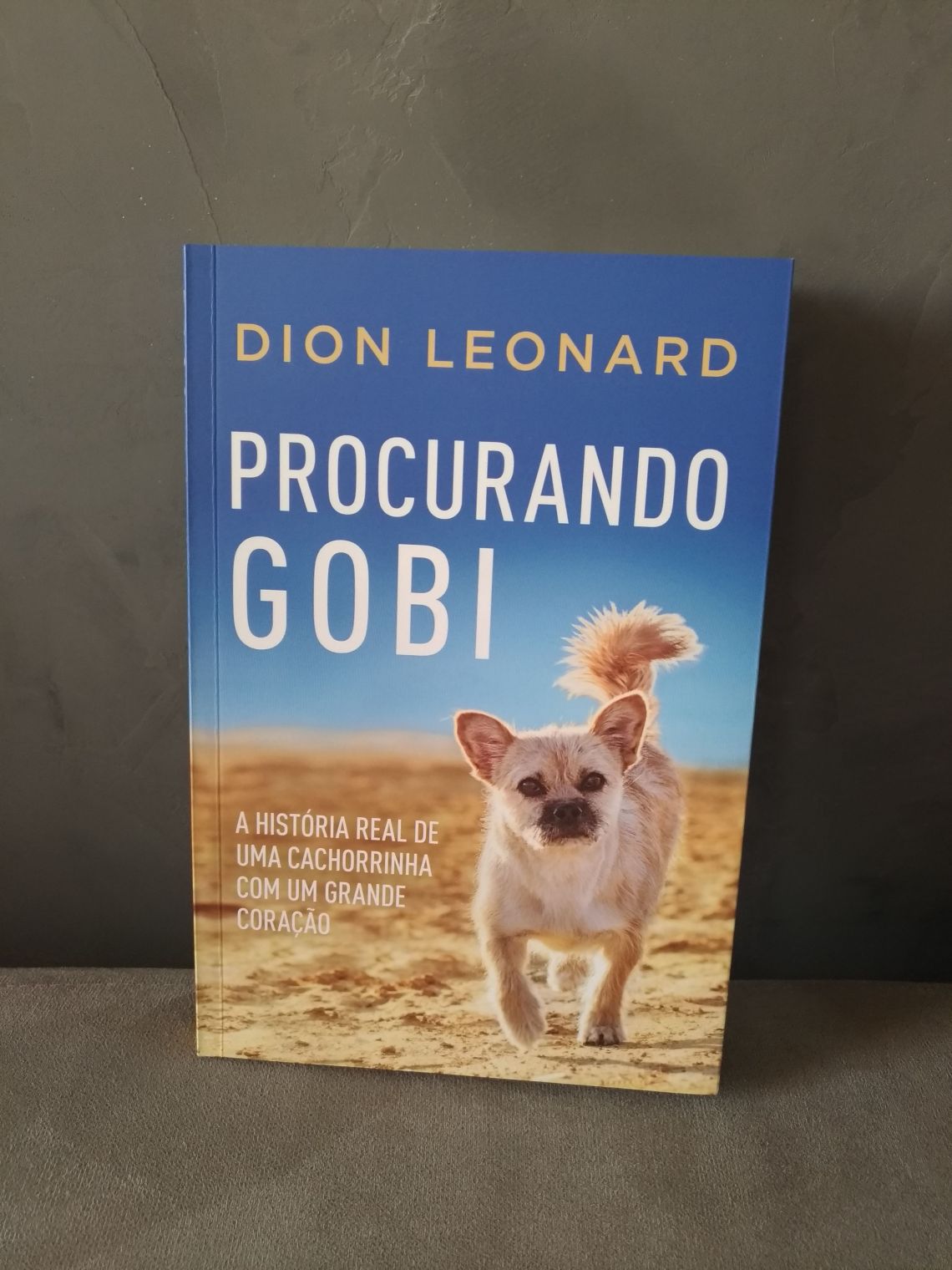 P_20180531_072535_vHDR_Auto