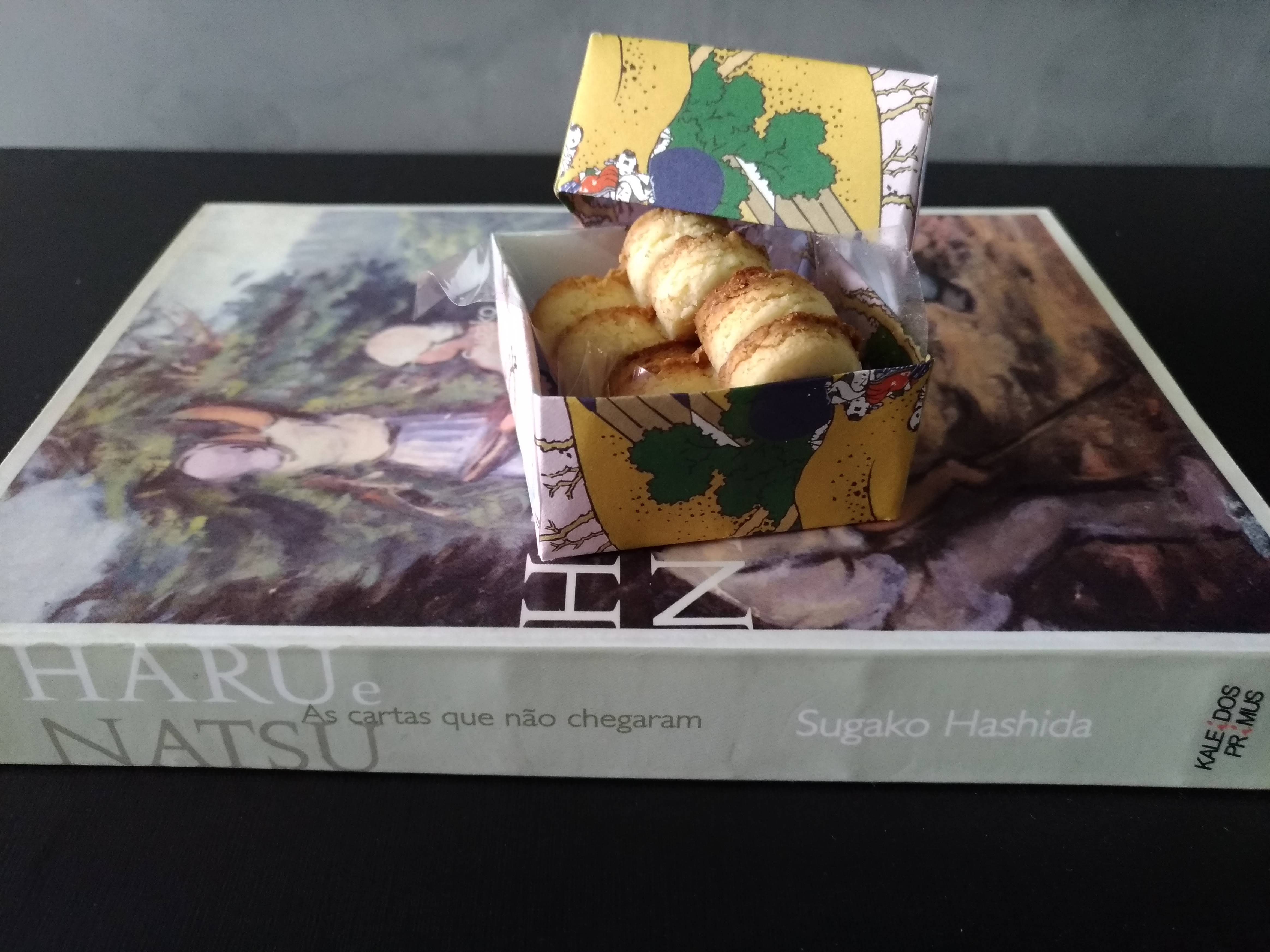 Haru e Natsu Sugako Hashida 洋書 Resenha: Haru e Natsu – As Cartas que não chegaram – Sugako