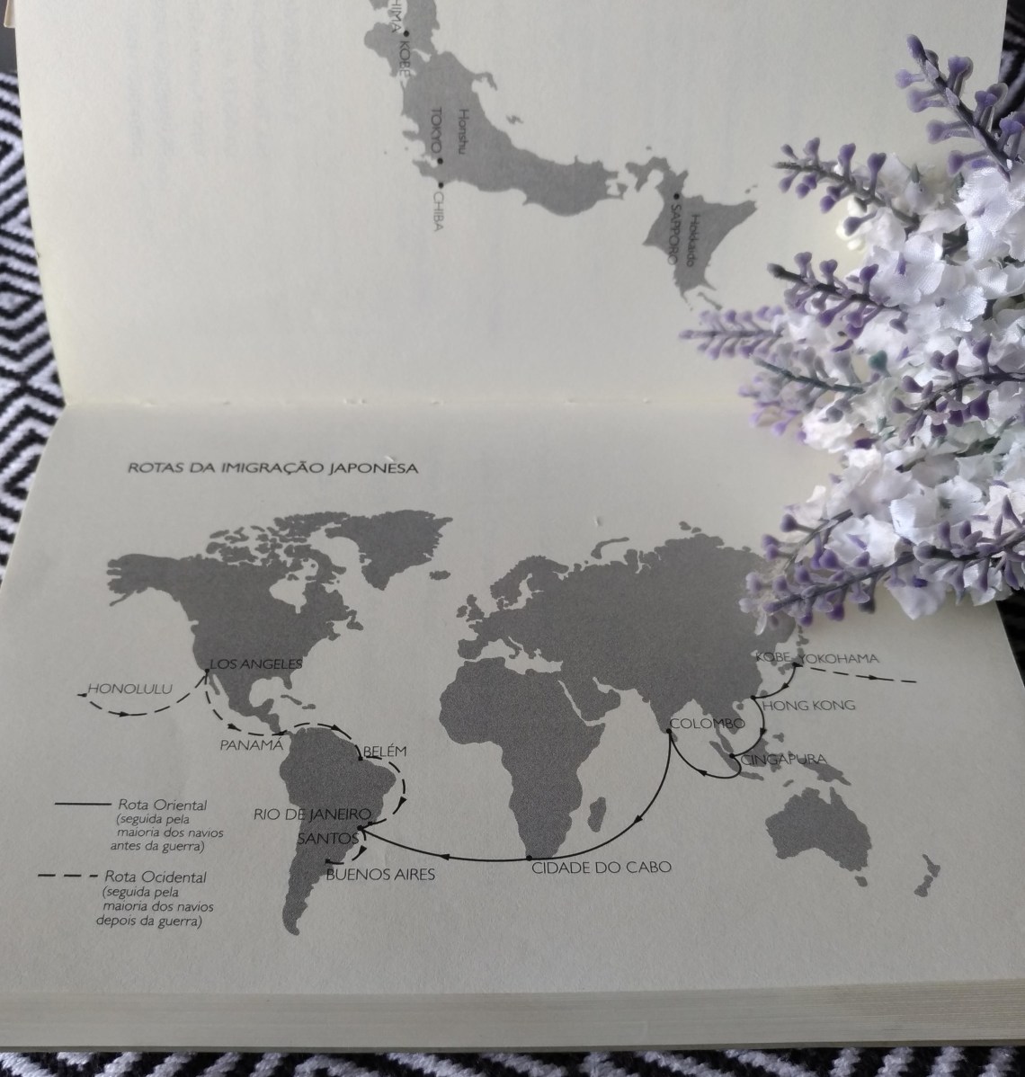 P_20180614_091611_vHDR_Auto