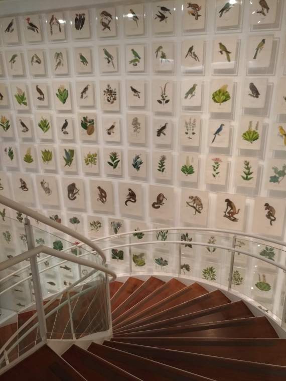 P_20180721_120818_vHDR_Auto