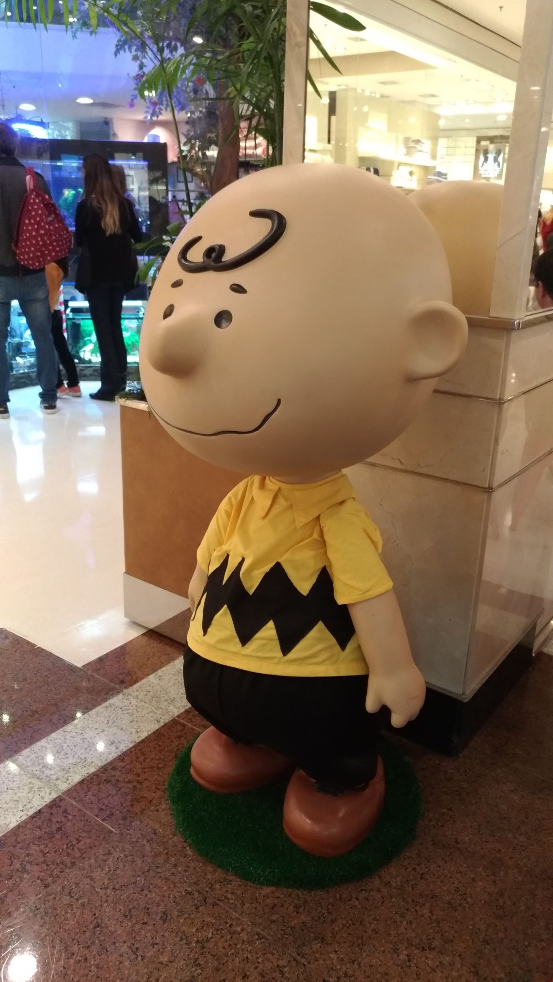 P_20181208_114242_vHDR_Auto