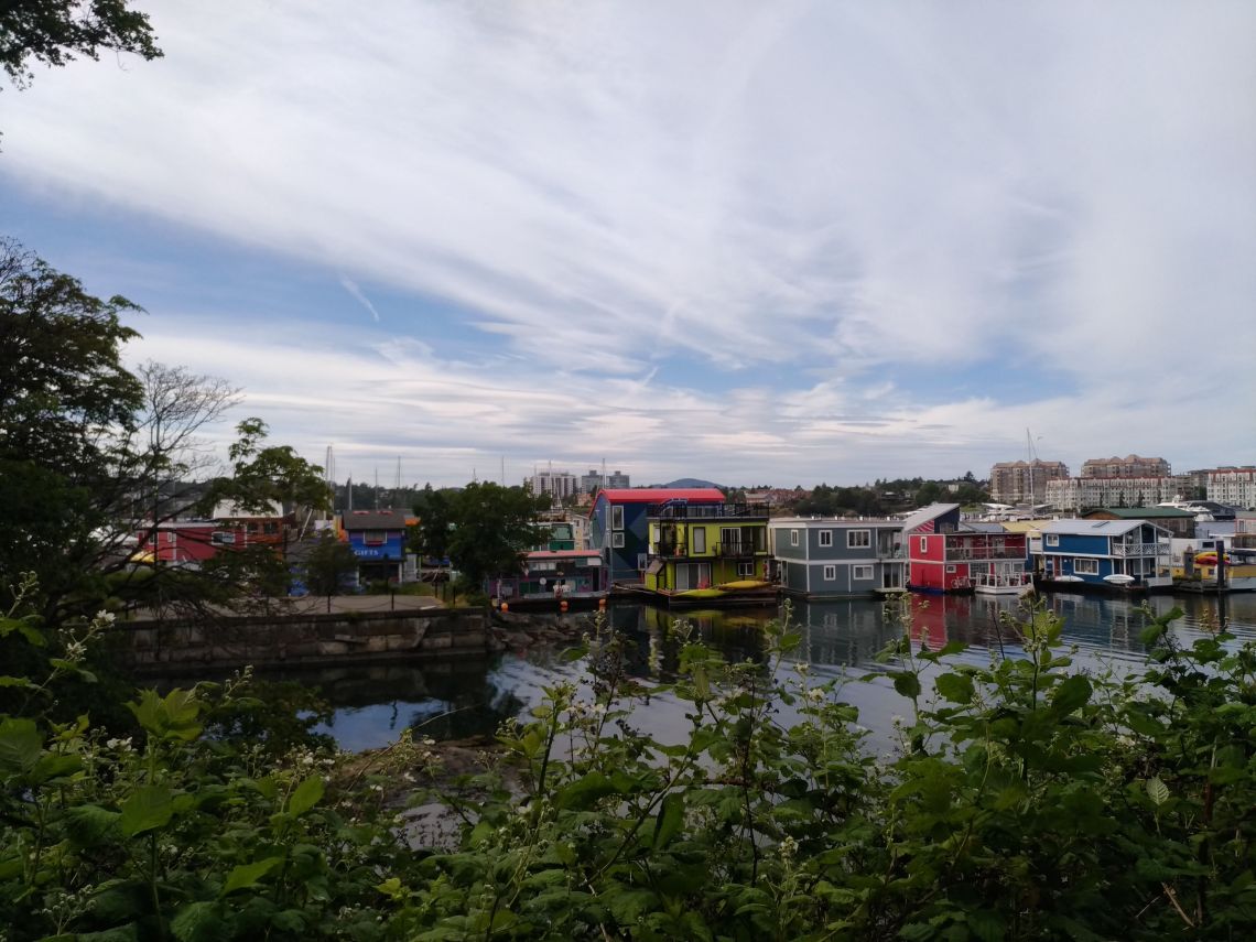 P_20190602_160622_vHDR_On