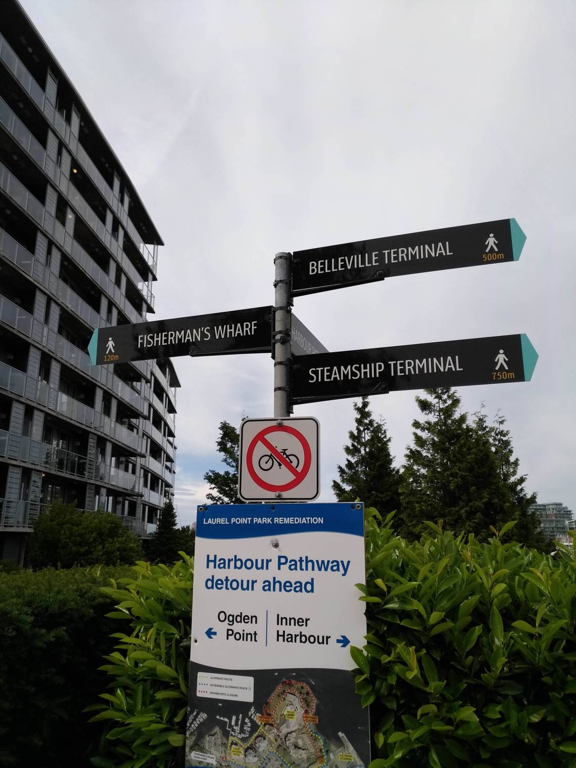 P_20190602_160502_vHDR_On