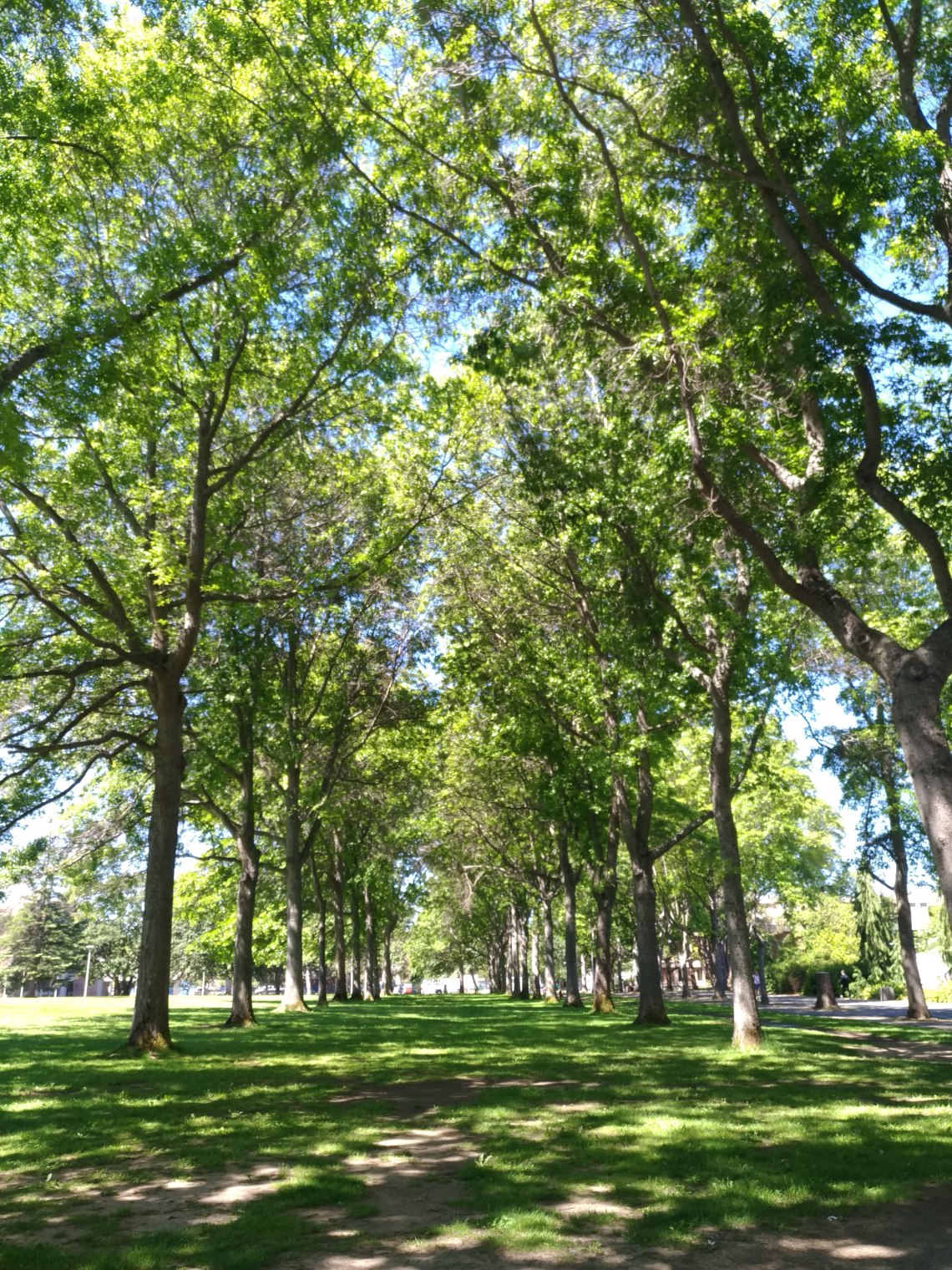 P_20190603_115022_vHDR_On