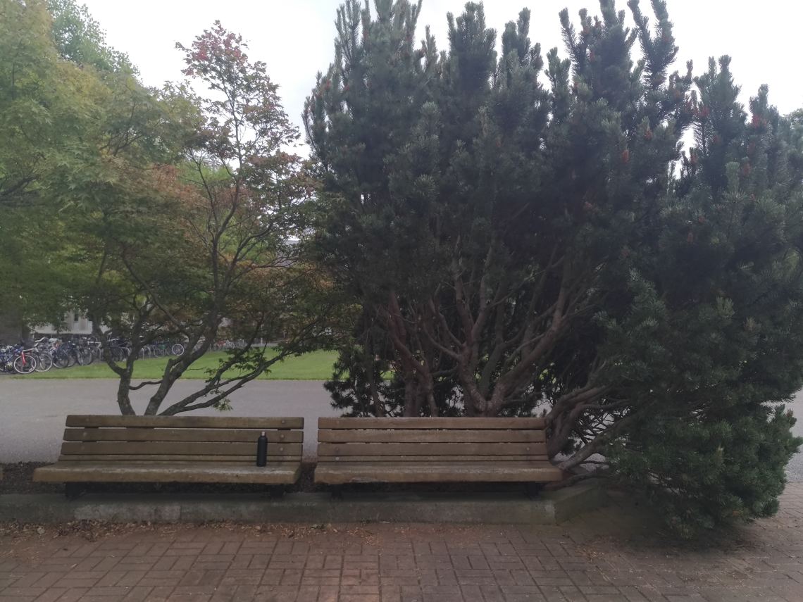 P_20190605_155814_vHDR_Auto