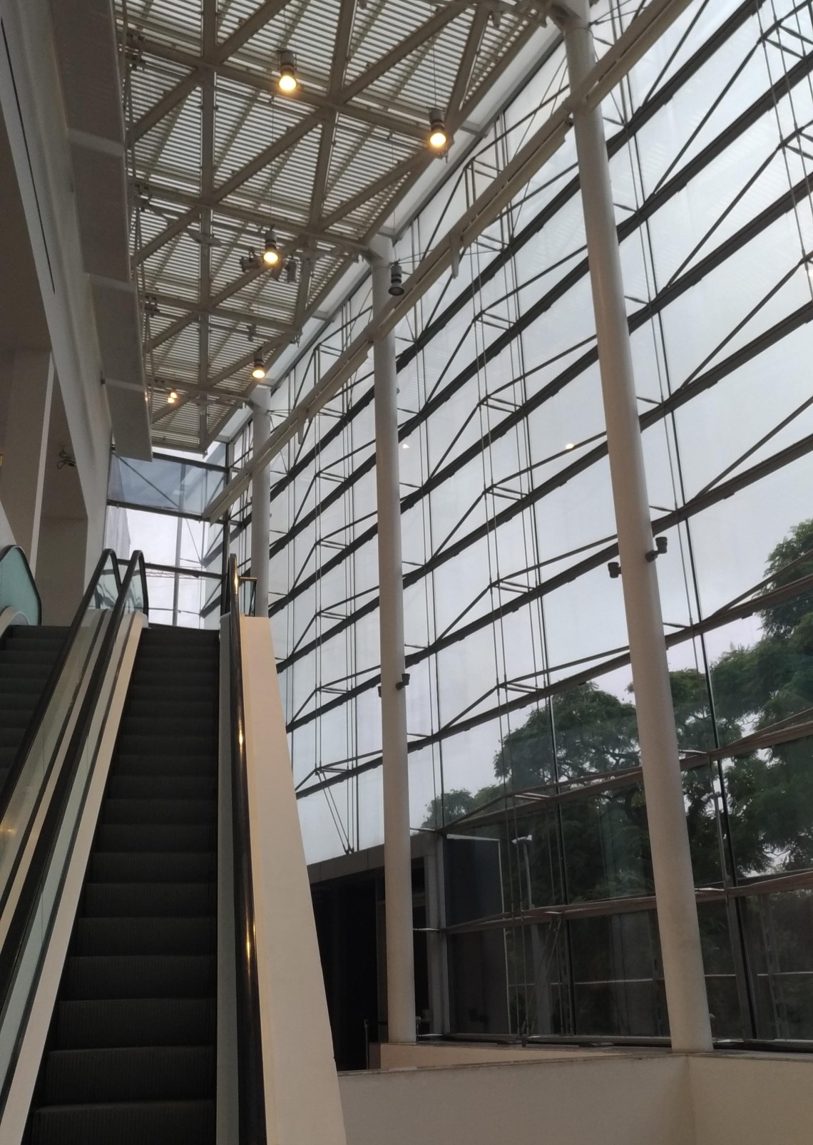 P_20190617_155632_vHDR_Auto