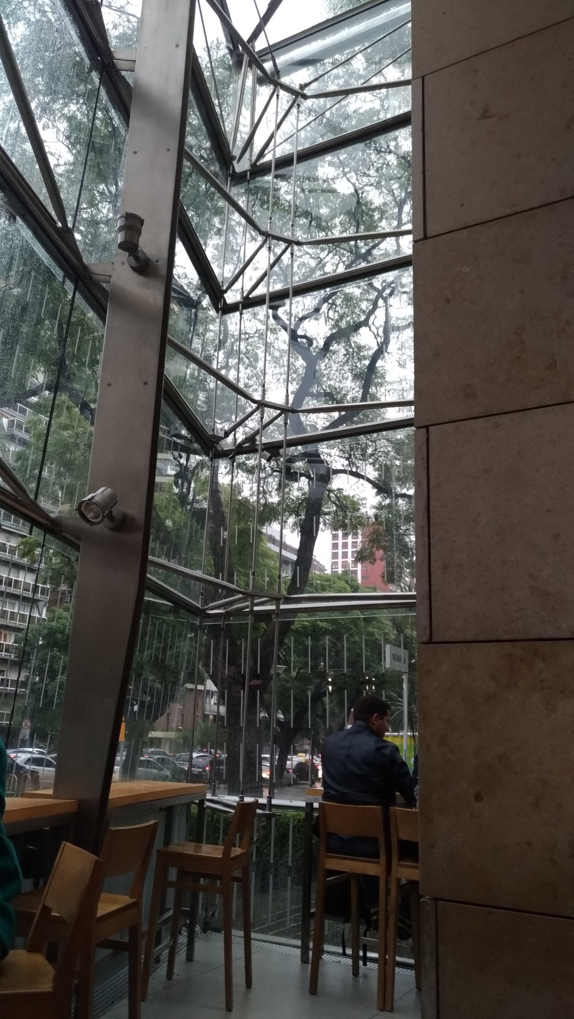 P_20190617_170457_vHDR_Auto