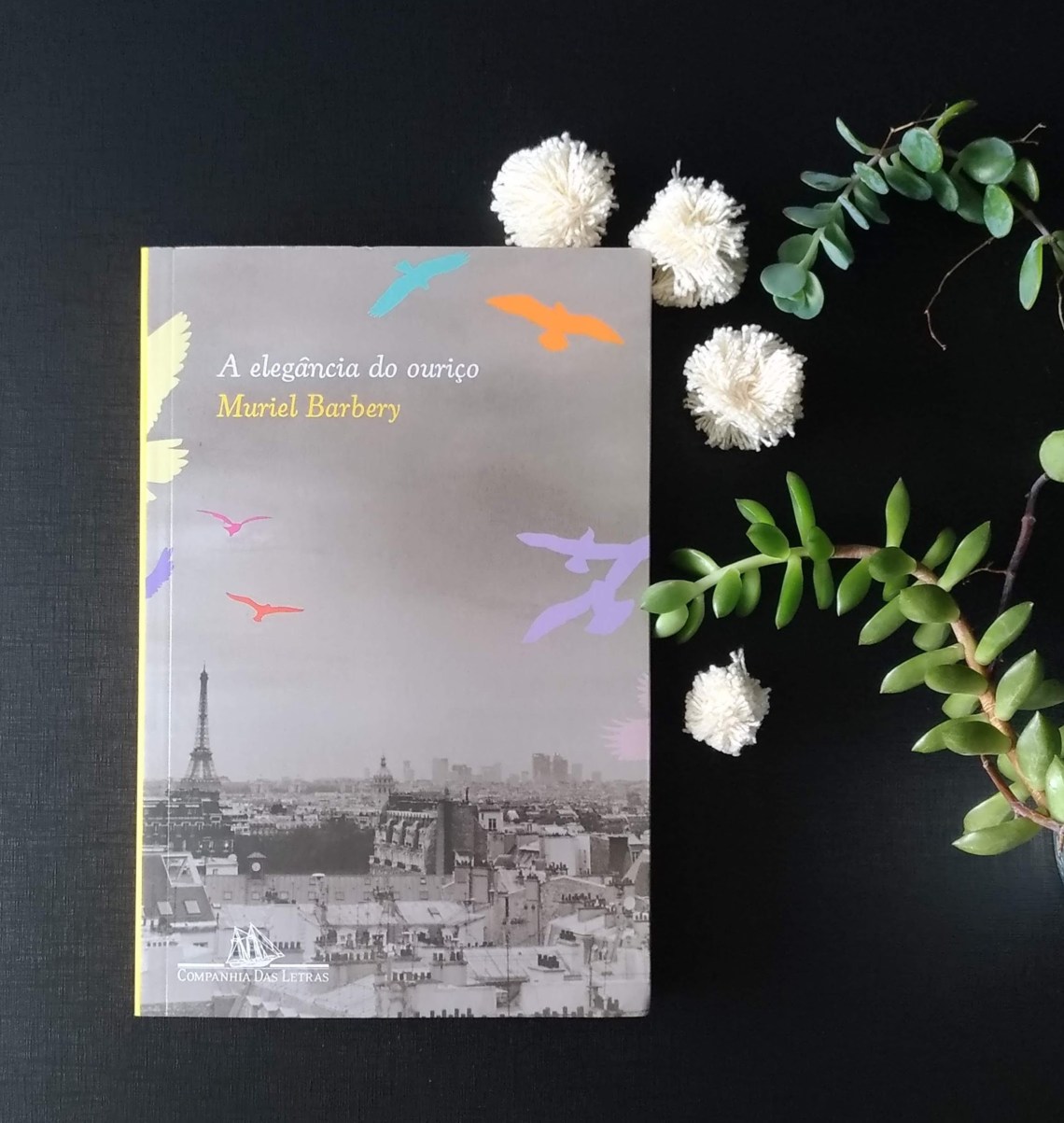 P_20200103_123656_vHDR_On_1