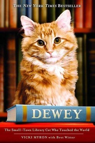 dewey