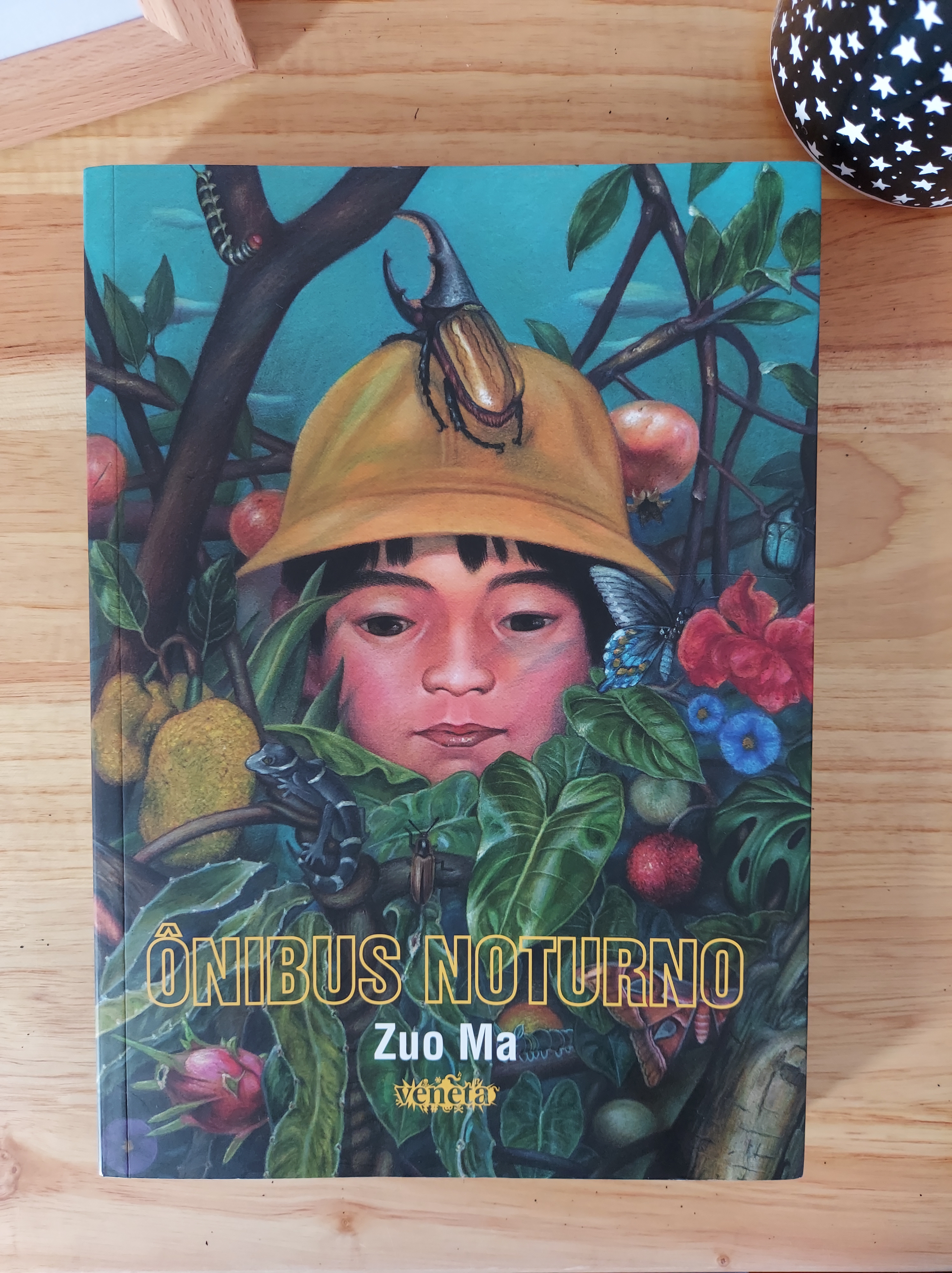 Na foto, centralizado, encontra-se o livro de novela gráfica intitulado "Ônibus Noturno", que está escrito em fonte amarela sem preenchimento, deixando transparecer a ilustração de Zuo Ma, autor da HQ, cujo nome vem logo abaixo do título do livro, seguido pela marca da editora, Veneta.